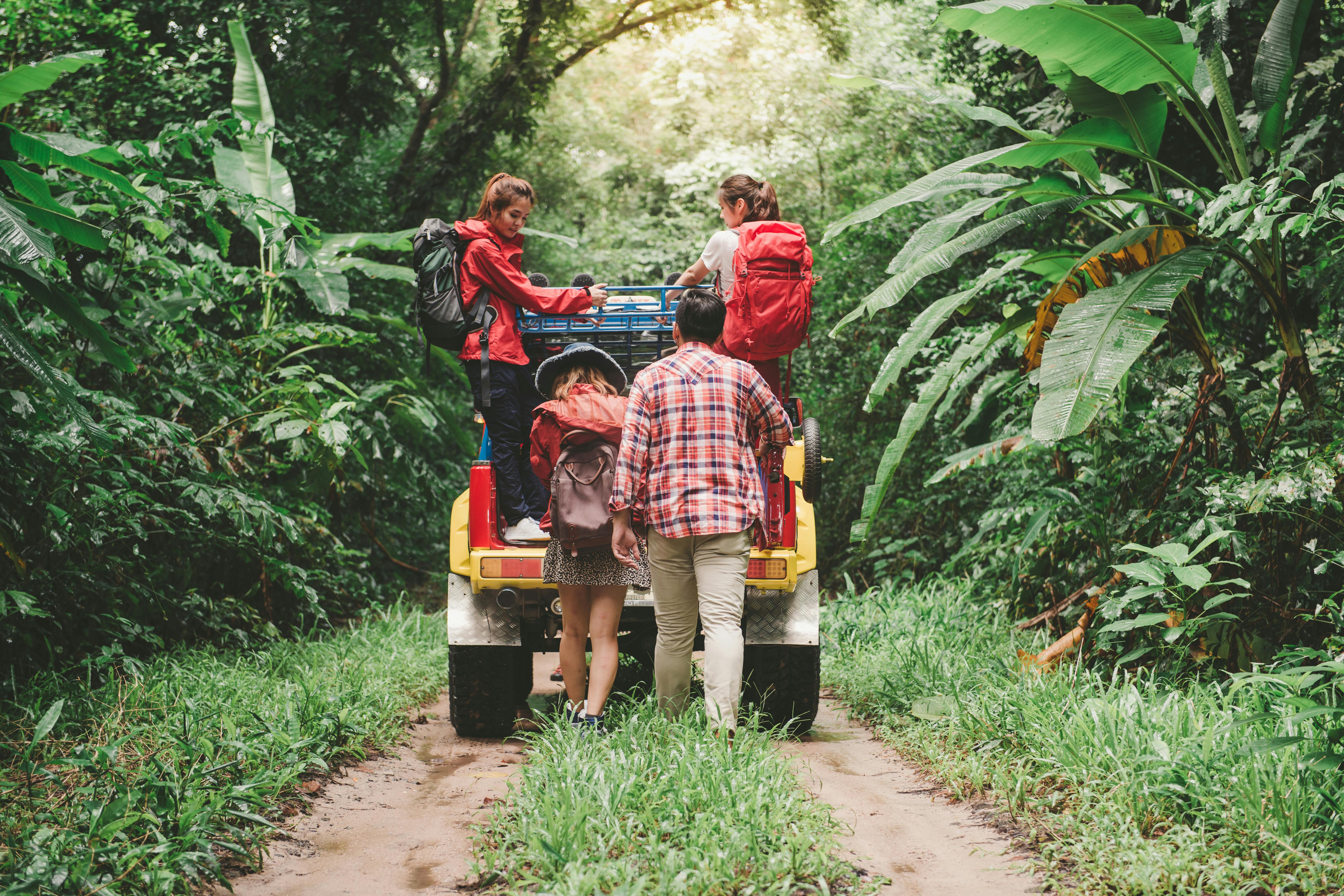 Gorilla Trekking